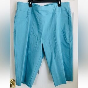 Ruby Rd Womens 24W Blue Capri Pants Slimming Tummy Control Pullover ps2139